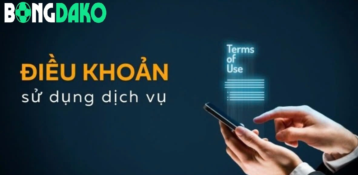 Điều Khoản Sử Dụng Bongdako dành cho thành viên của nhà cái