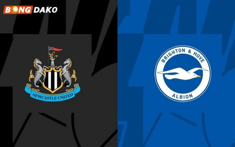 Nhận Định Trận Newcastle United vs Brighton & Hove Albion