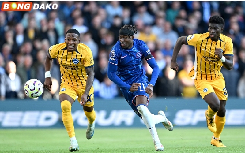 Phân tích phong độ Brighton và Chelsea gần đây