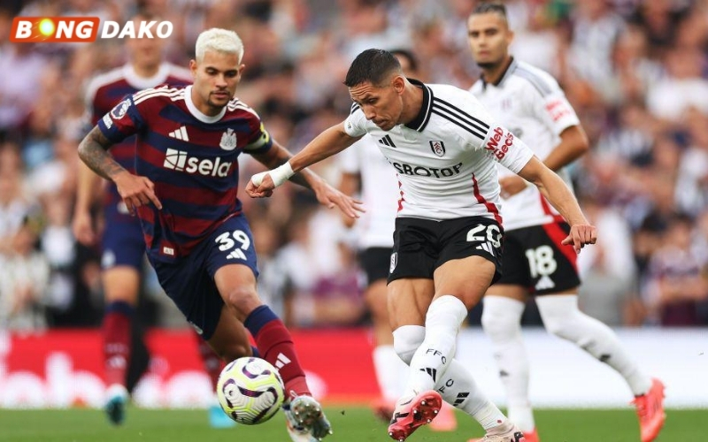 Dự đoán tỷ số trận đấu Fulham vs Newcastle United từ chuyên gia