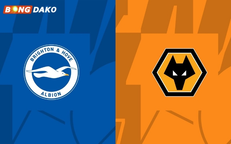 Nhận Định Trận Brighton & Hove Albion vs Wolverhampton Wanderers