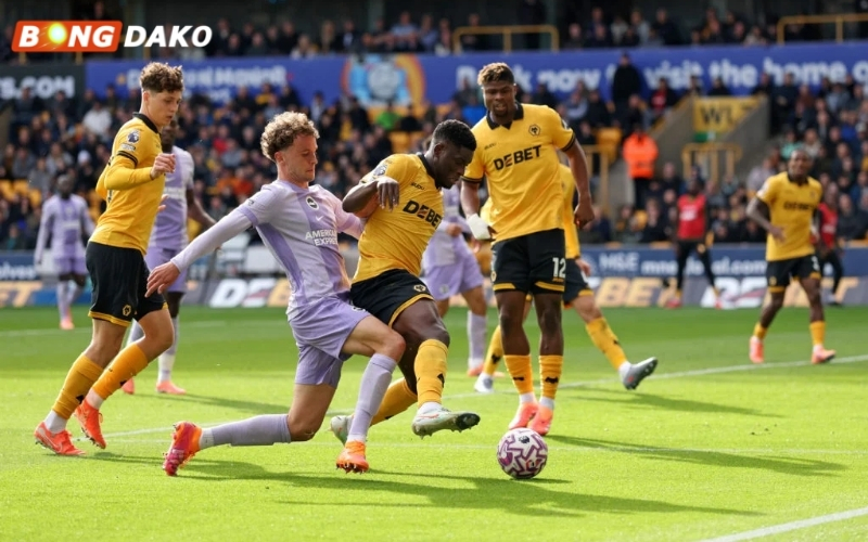 Phân tích phong độ Brighton và Wolverhampton gần đây