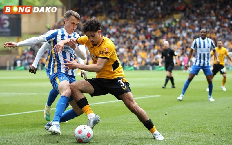 Soi kèo tỷ lệ bóng đá Brighton vs Wolverhampton